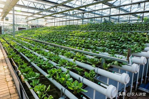 微生物肥料的5个常见坑人路数，千万别踩空——生物质能技术服务指南