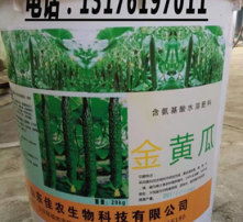 高清图片展示生物质能技术服务 绿色能源的未来蓝图