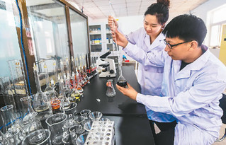 河北 新型有机肥助力农业增产，生物质能技术引领绿色未来