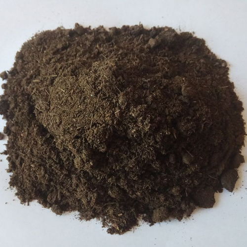 葡萄施发酵牛粪有机肥的合理应用与生物有机肥料研发