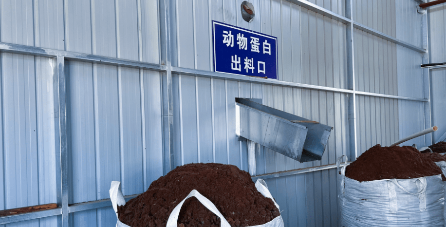 达拉特旗构建“五位一体”病死畜禽无害化处理模式，推动生物有机肥料研发保障食品与生态安全