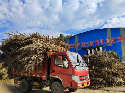 秸秆肥料化利用 从‘包袱’到‘绿色财富’的转变